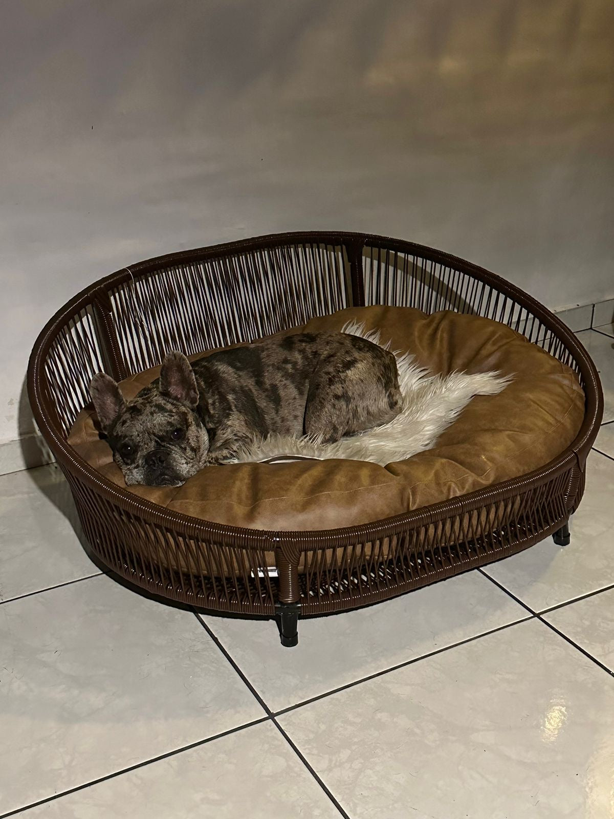 Cama para perritos | Ovalada