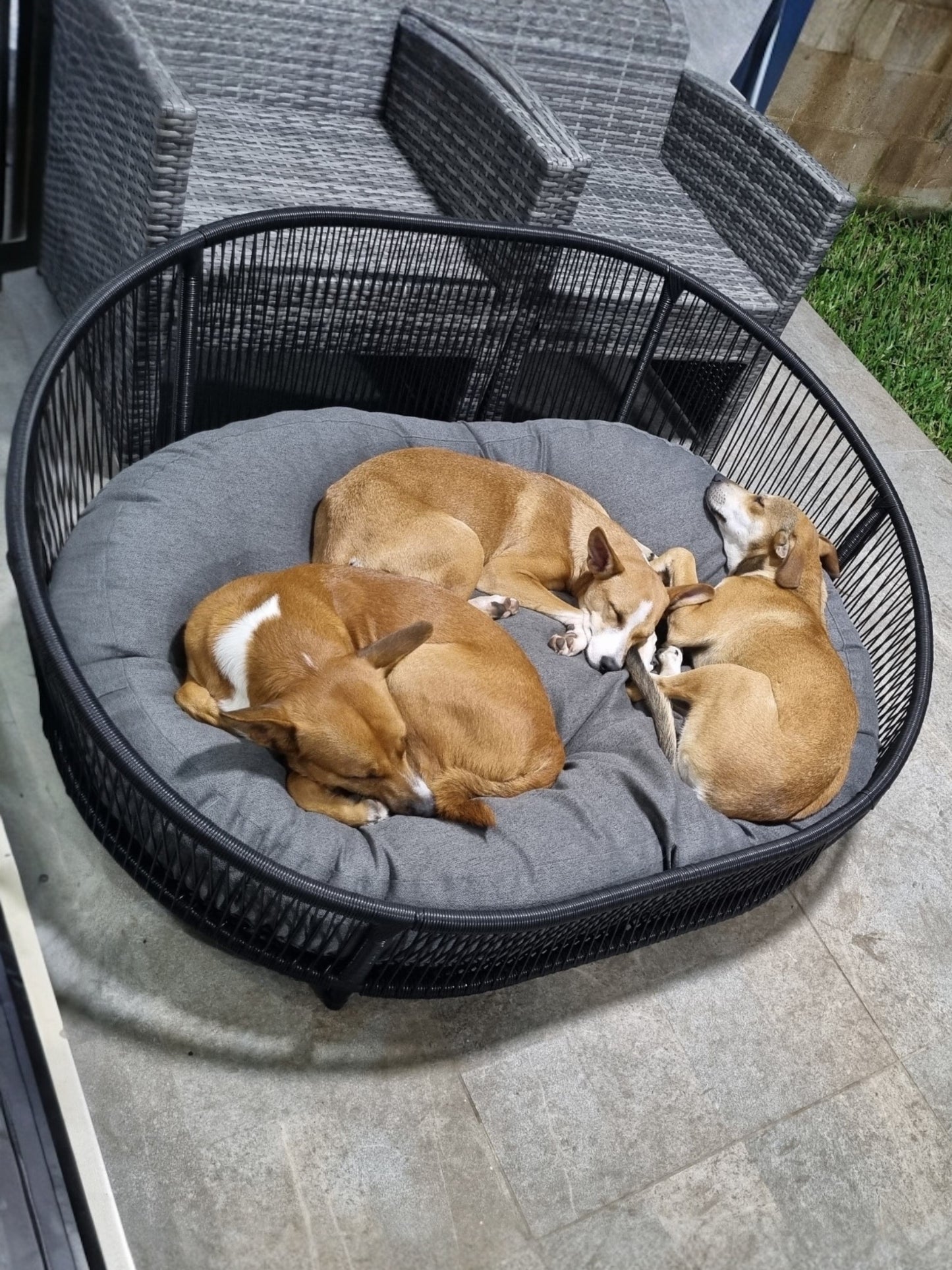 Cama para perritos | Ovalada