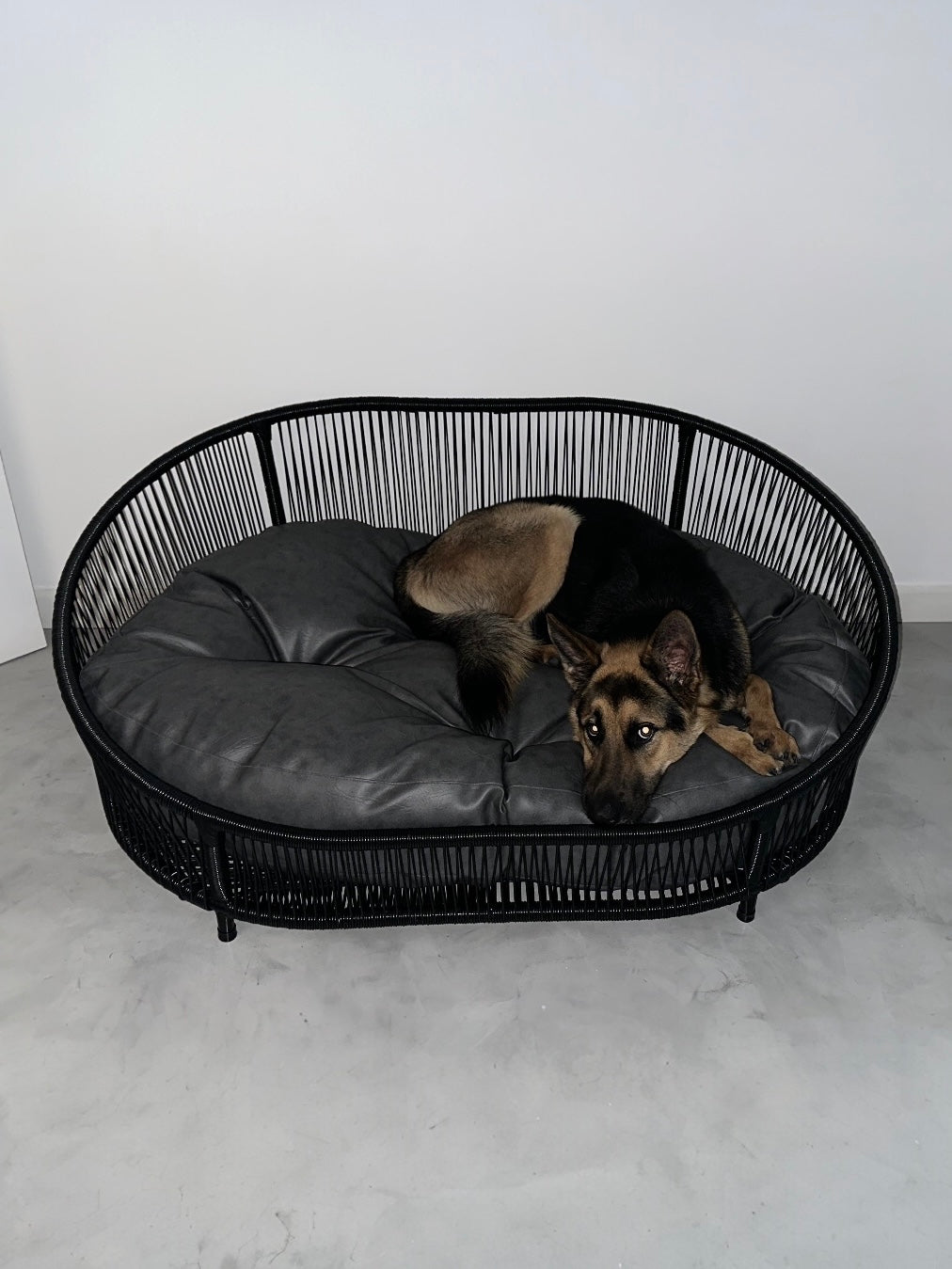 Cama para perritos | Ovalada