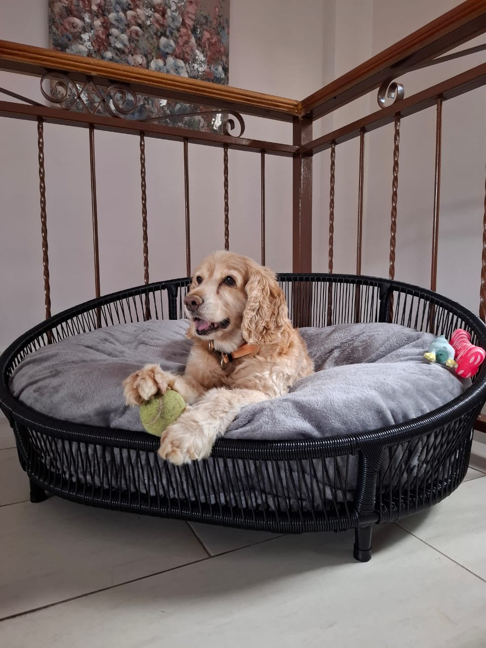 Cama para perritos | Ovalada
