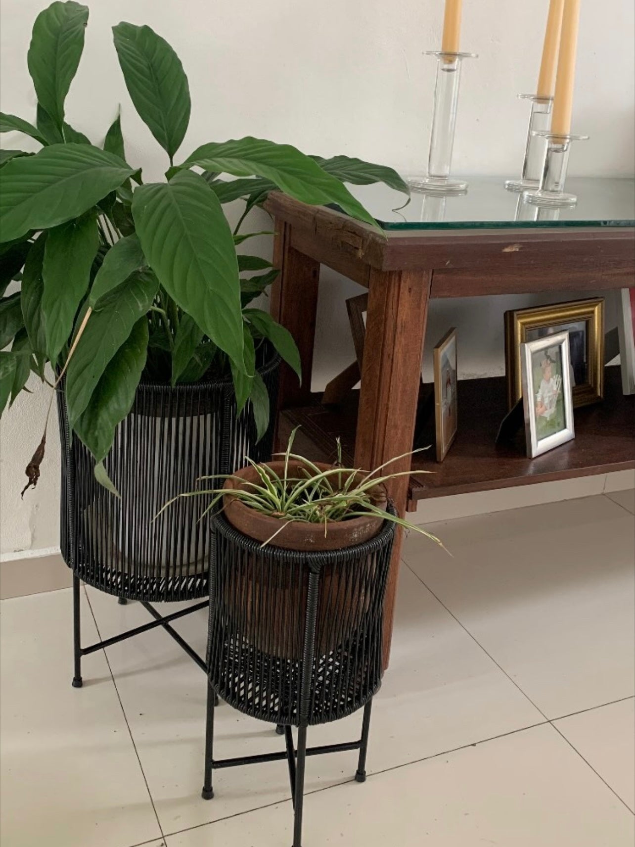 Soporte para plantas tejido