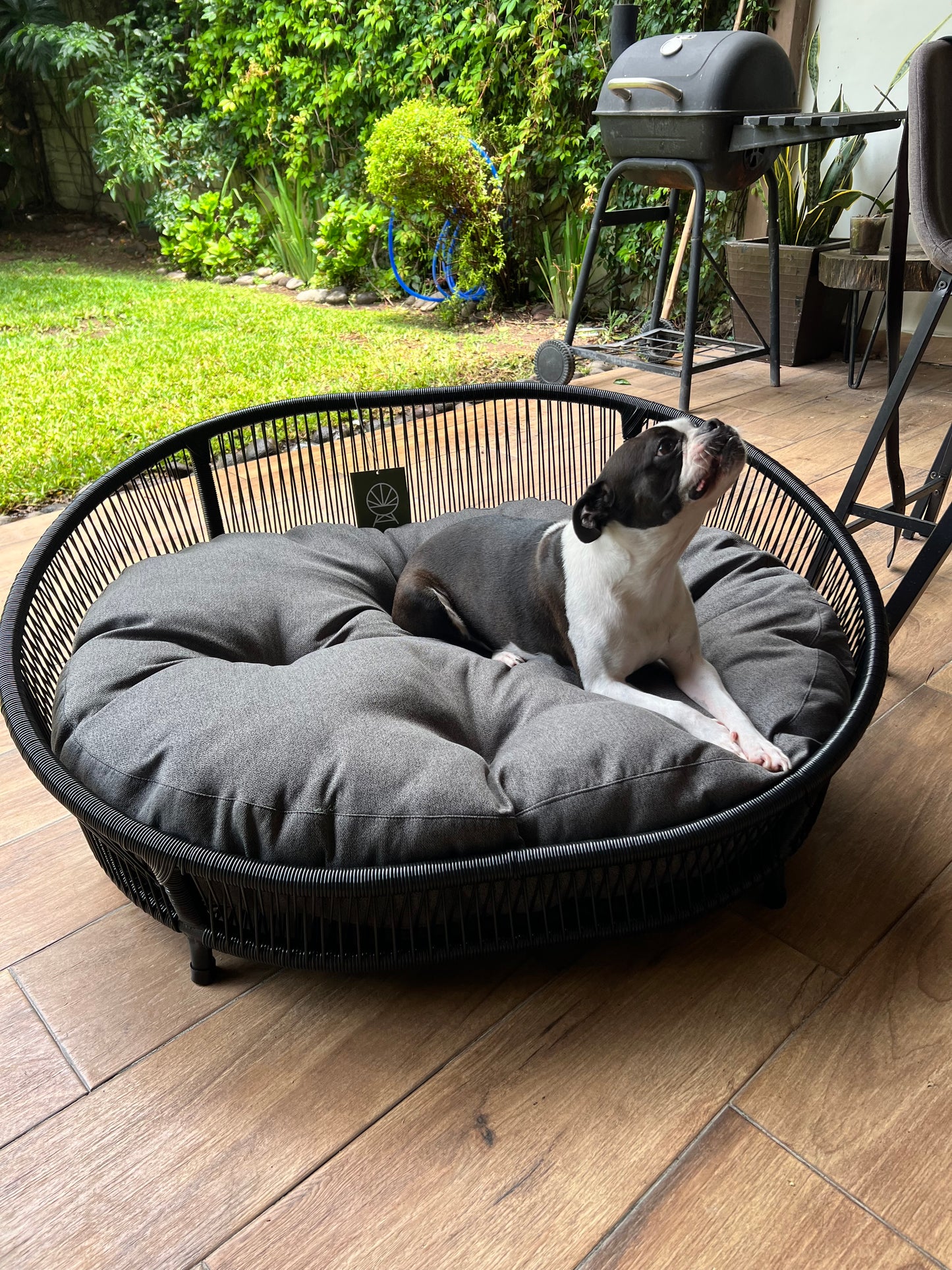 Cama para perritos | Ovalada