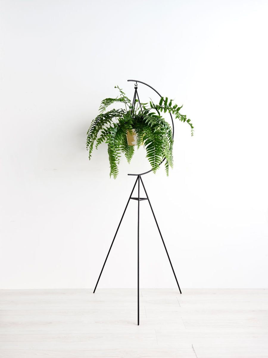 Soporte para plantas Luna