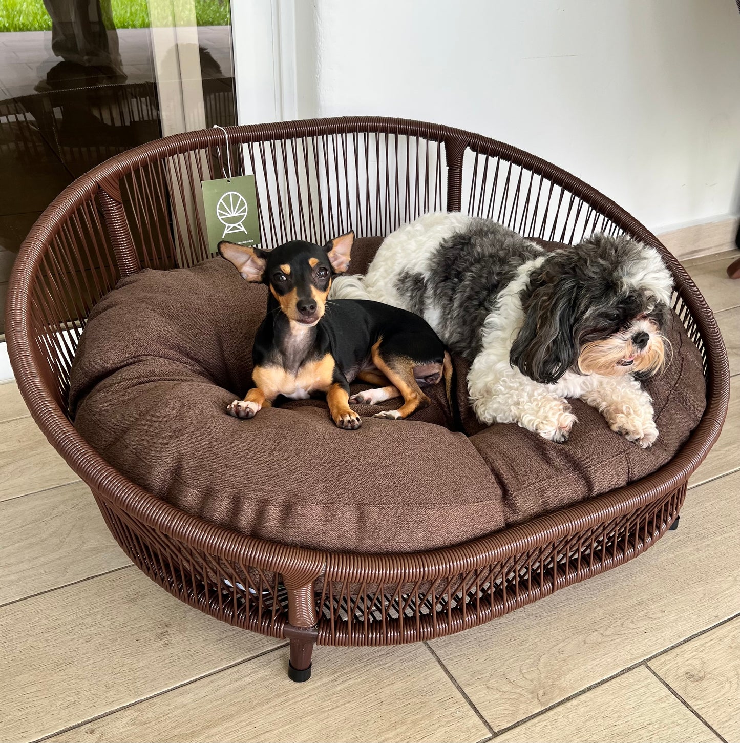 Cama para perritos | Ovalada