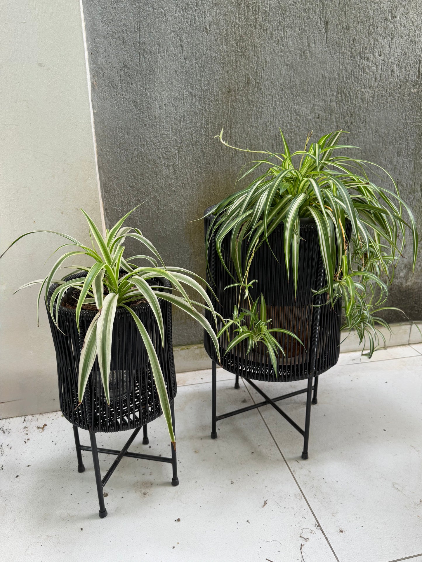 Soporte para plantas tejido