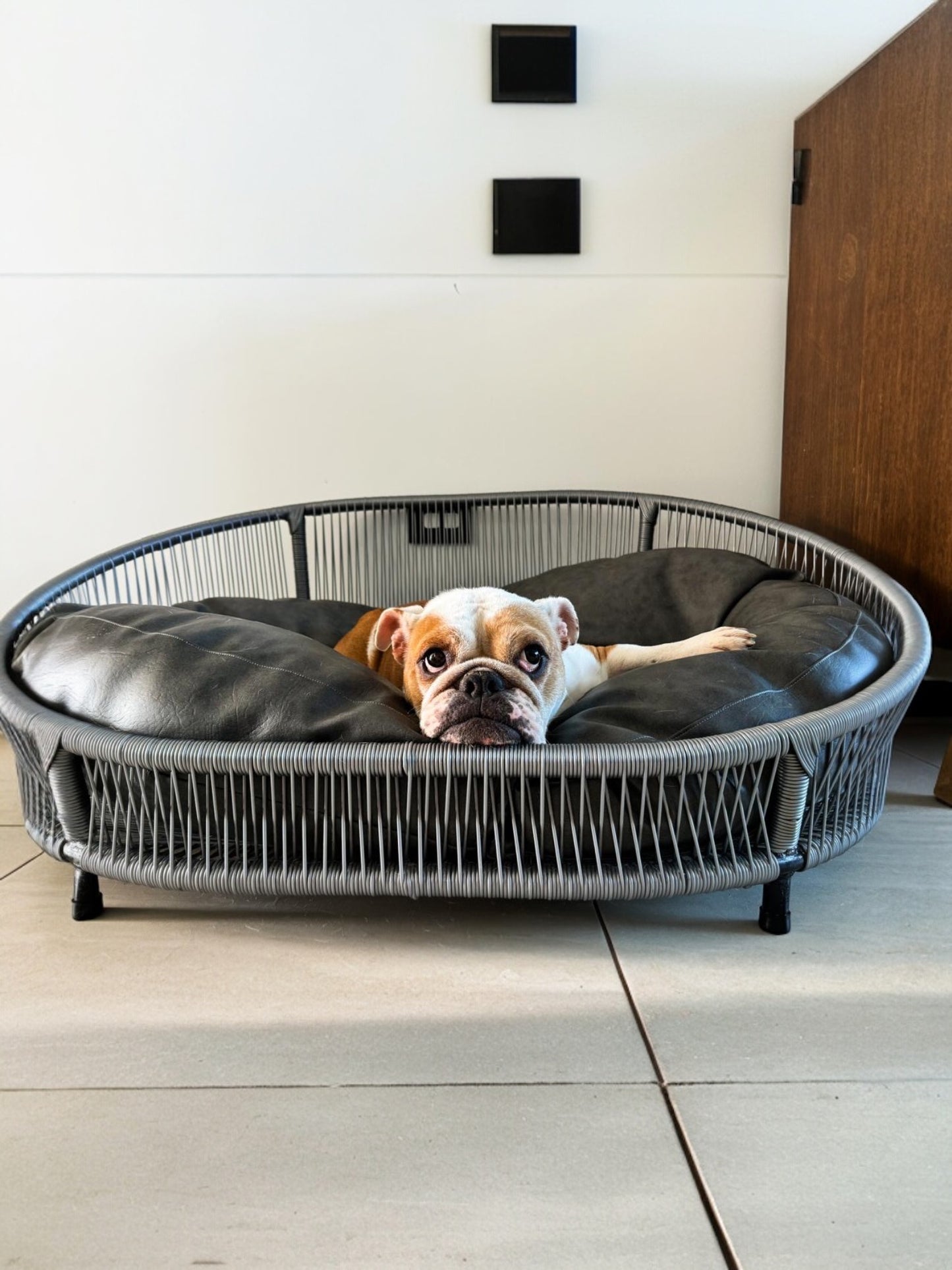 Cama para perritos | Ovalada
