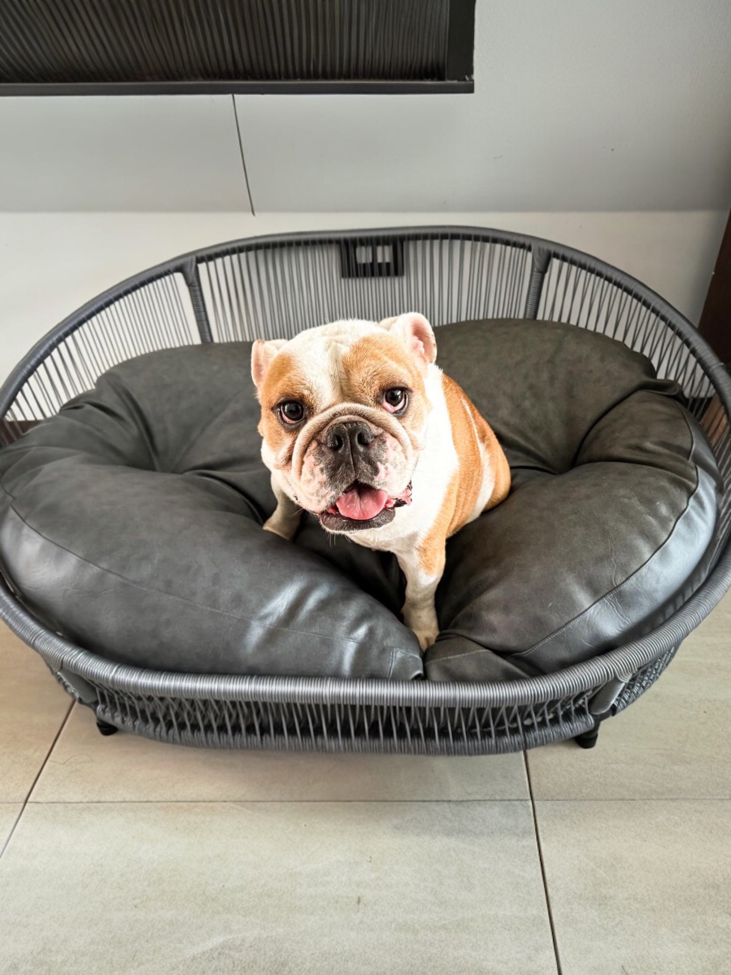 Cama para perritos | Ovalada