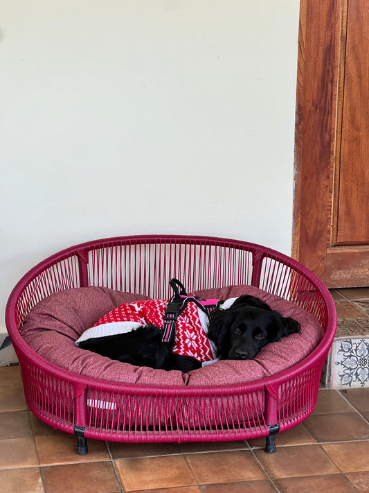 Cama para perritos | Ovalada